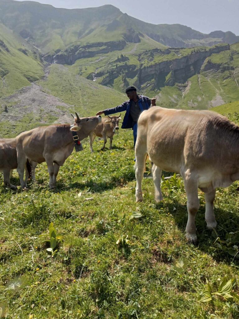 Messenger creation 7080223943320723371