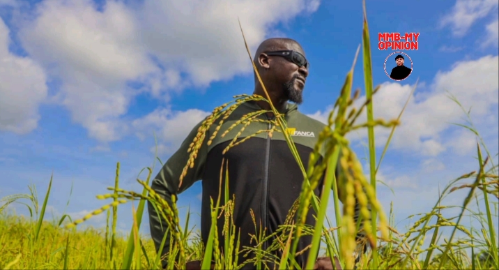 L'Économie de la Guinée : Un Potentiel en Éveil 3 Screenshot 2024 08 27 01 32 52 482