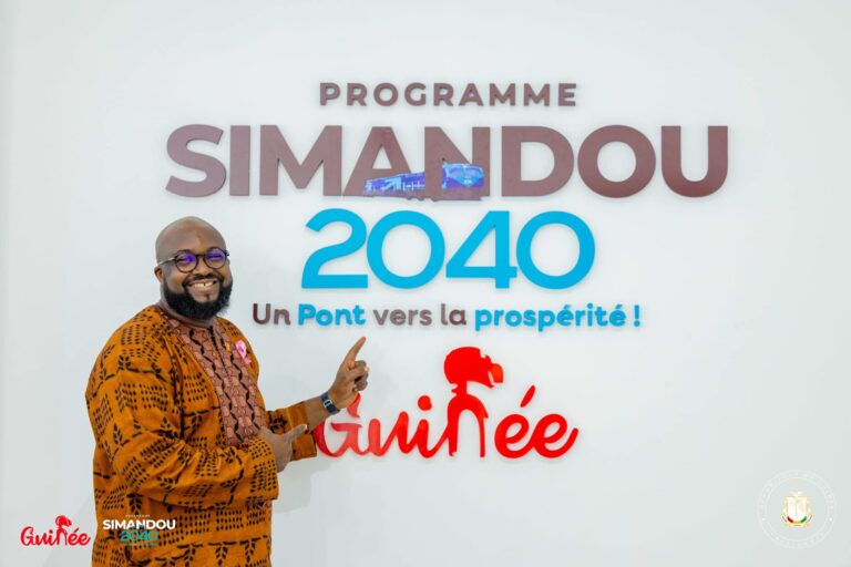 Le fer, enjeu mondial et opportunité pour la Guinée