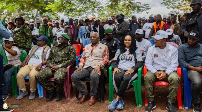 Le référendum constitutionnel en Guinée : enjeux et incertitudes