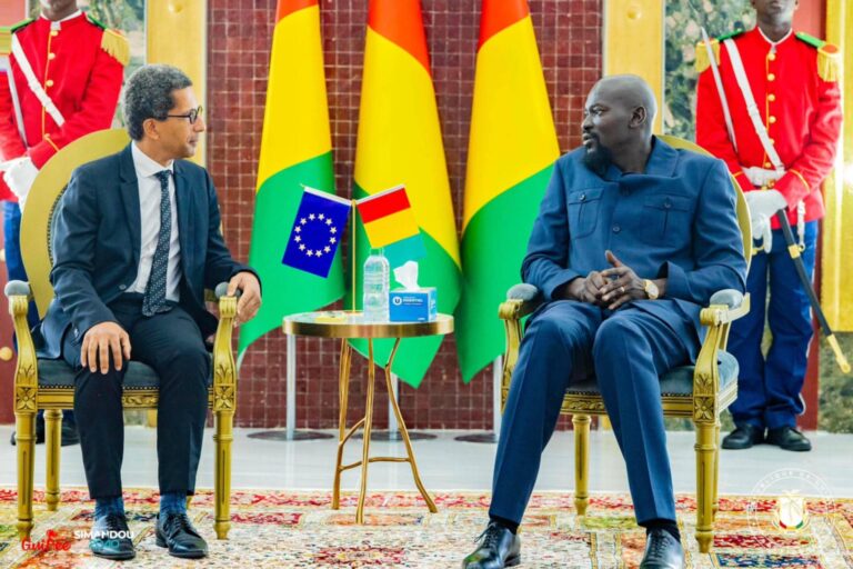Lettres de créance : la Guinée accueille seize ambassadeurs plénipotentiaires