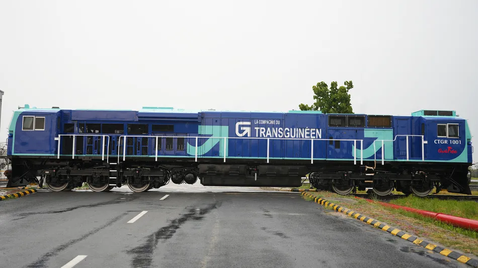 Transguineen