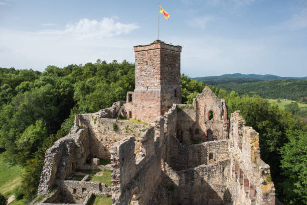 istockphoto 1156215493 612x612 1